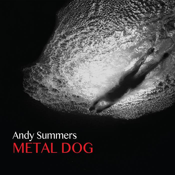 Andy Summers 'Metal Dog'