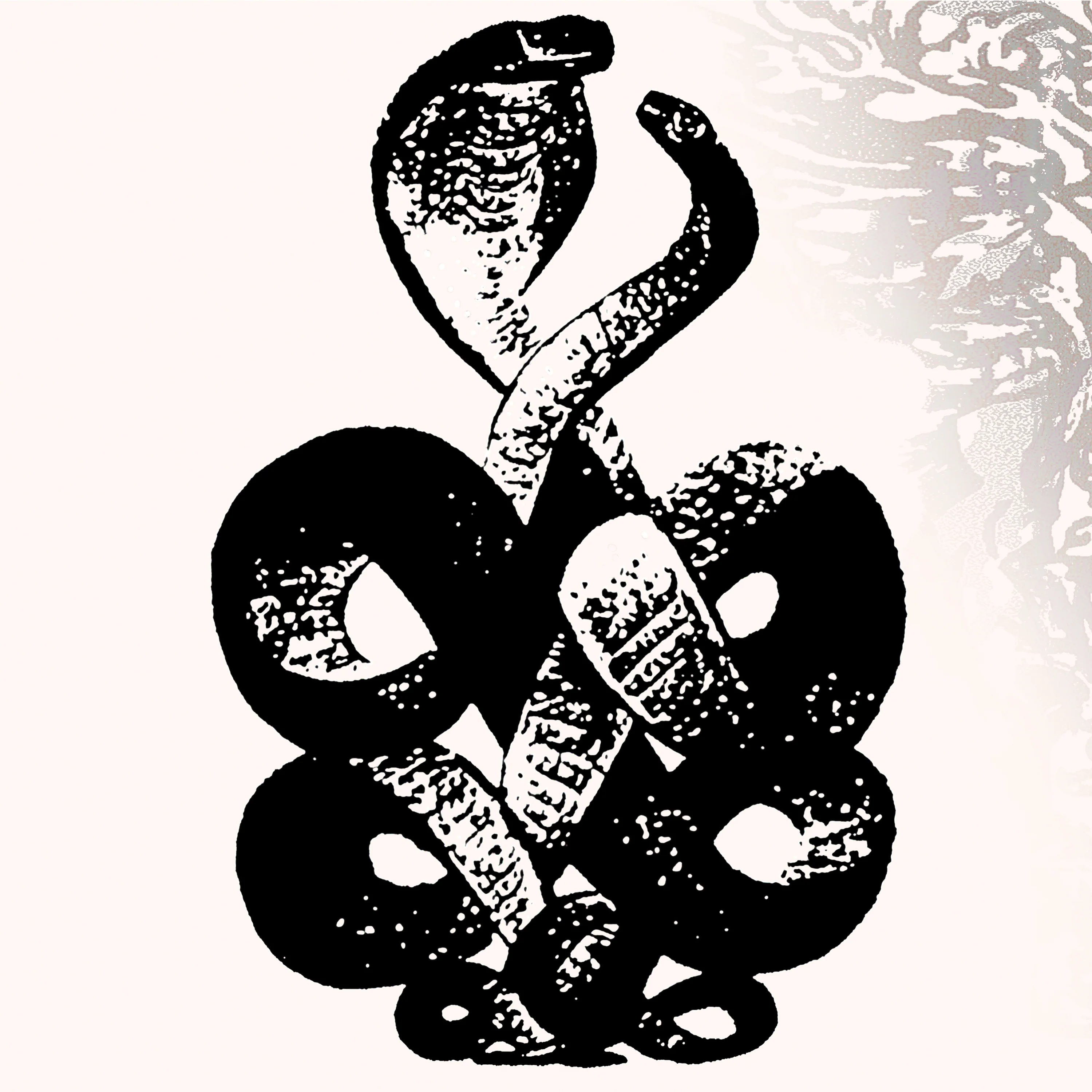 Bardo Pond 'Volume 4 & 5'