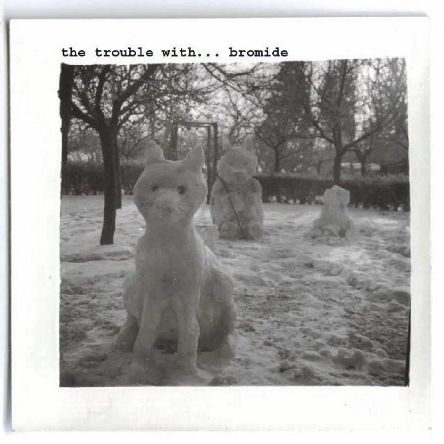 Bromide ‘The Trouble With... Bromide'