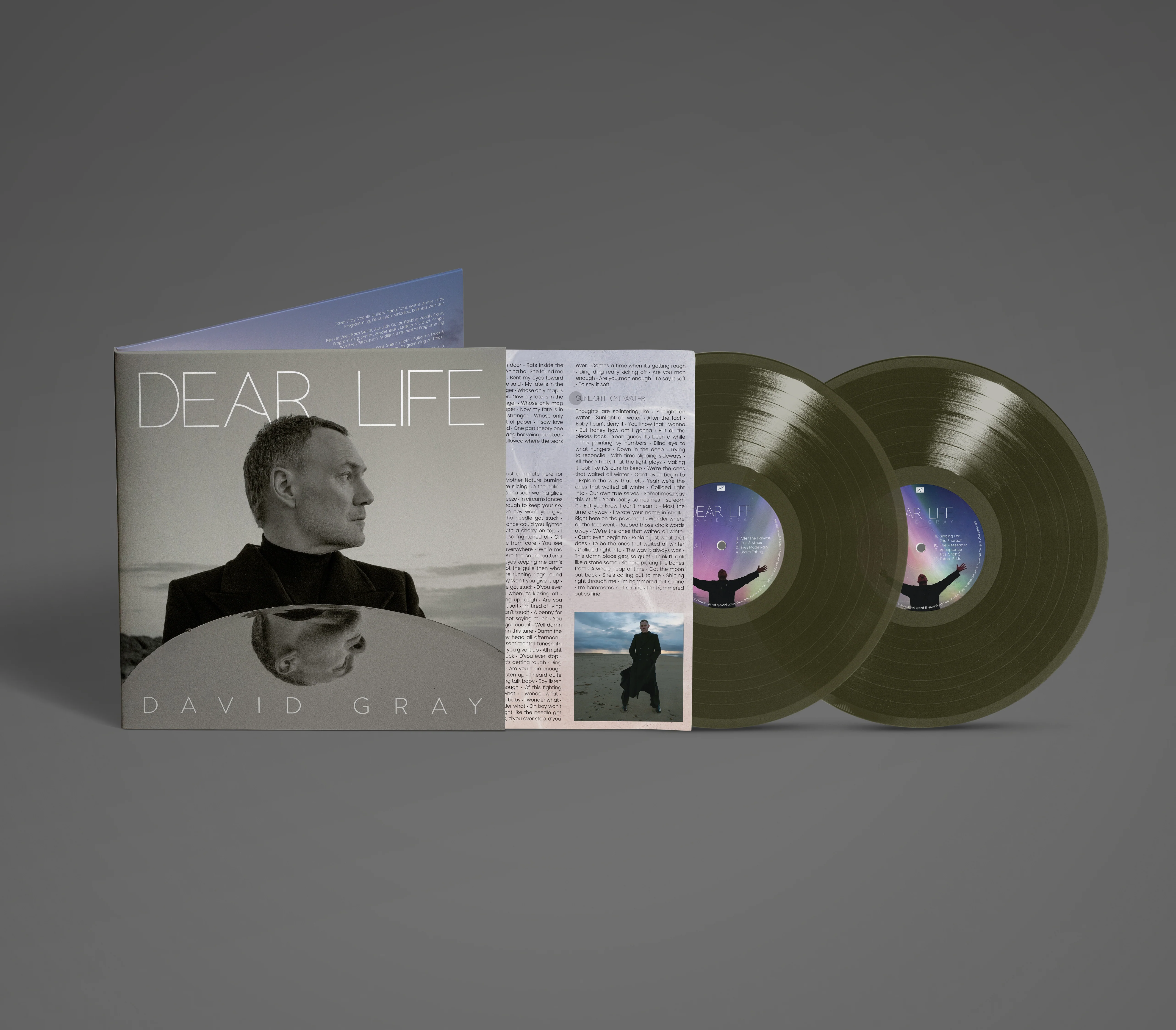 David Gray 'Dear Life' - Image 2