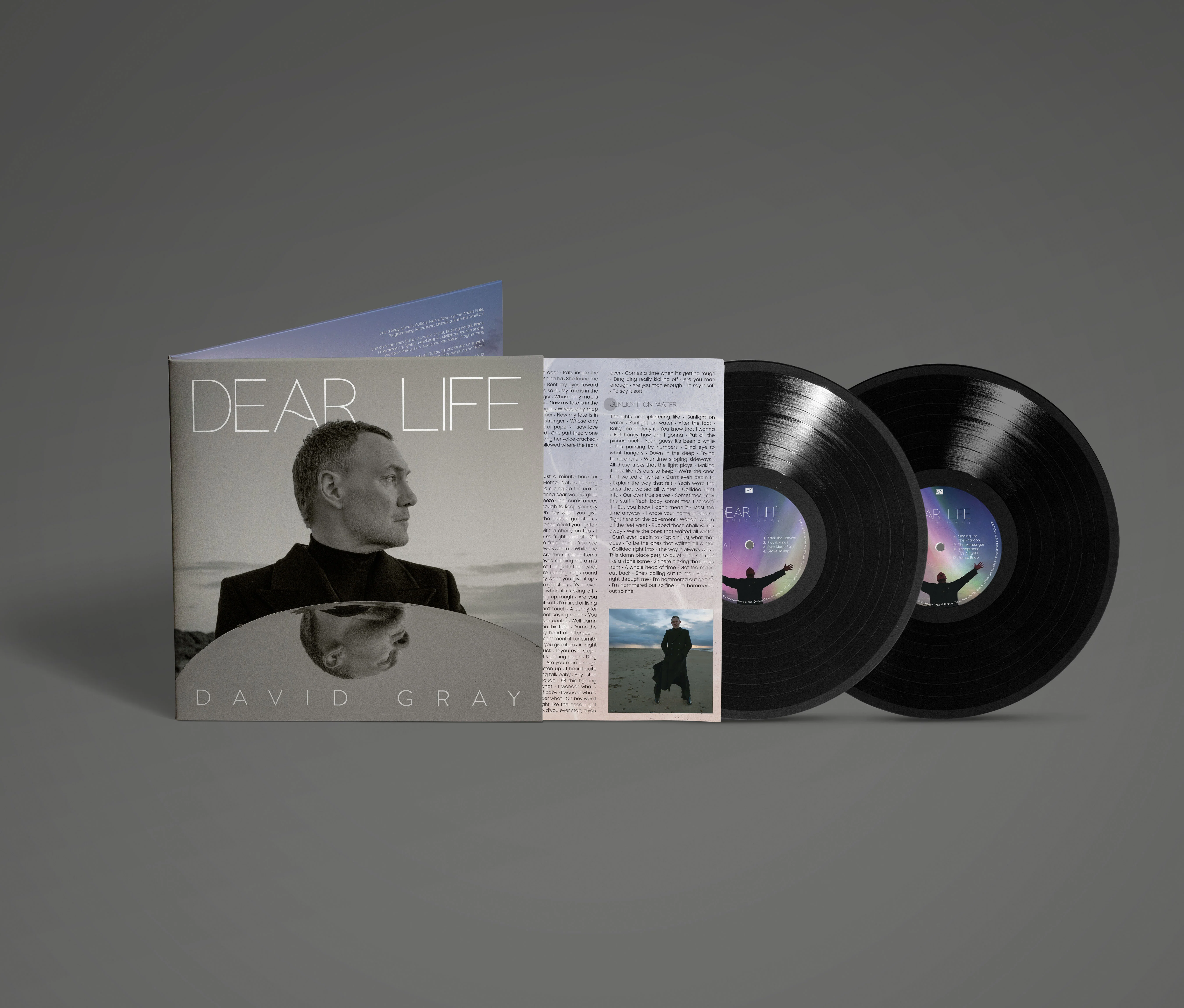 David Gray 'Dear Life' Vinyl LP - Green (Slightly Damaged Sleeve) - Image 3