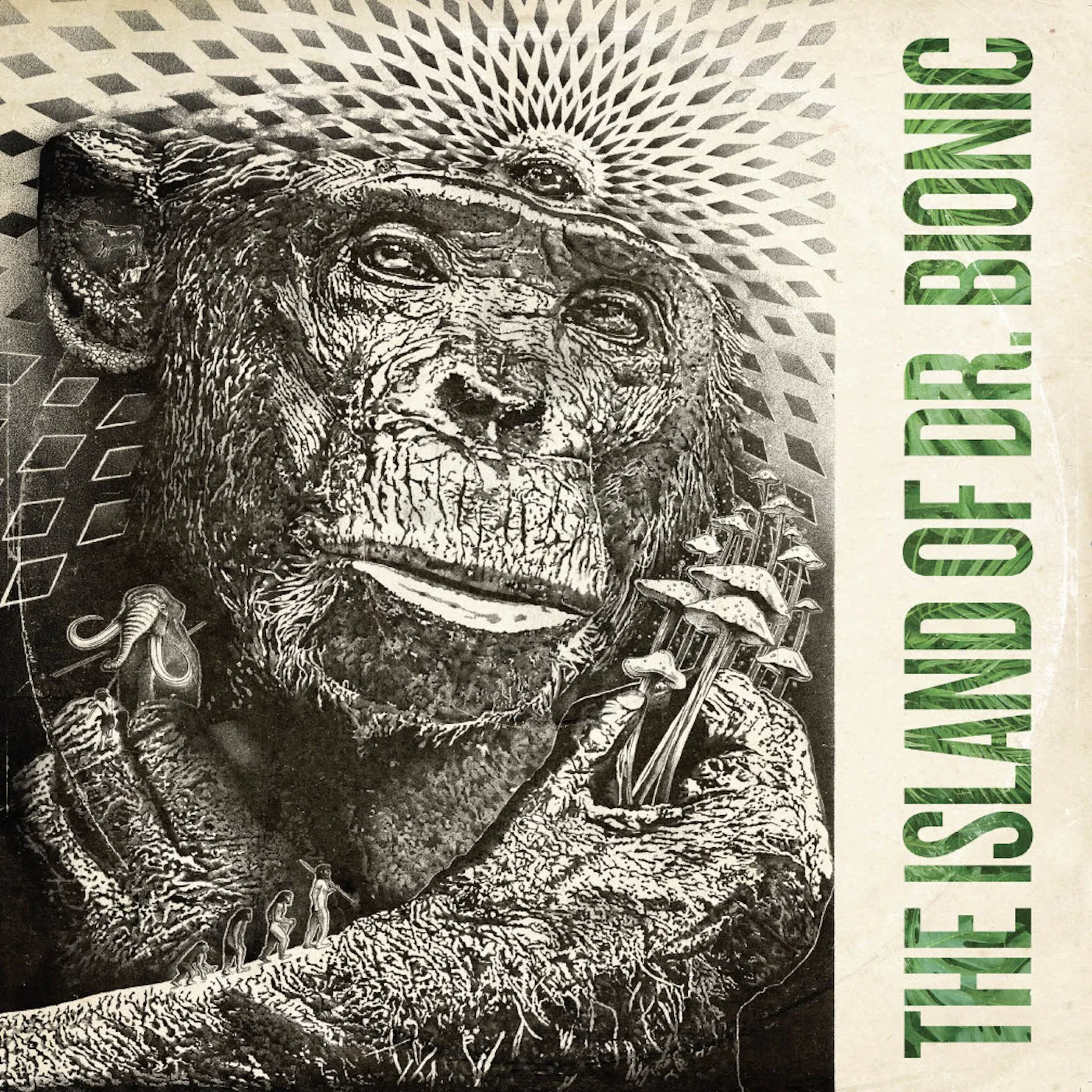 Doctor Bionic 'The Island Of Doctor Bionic'