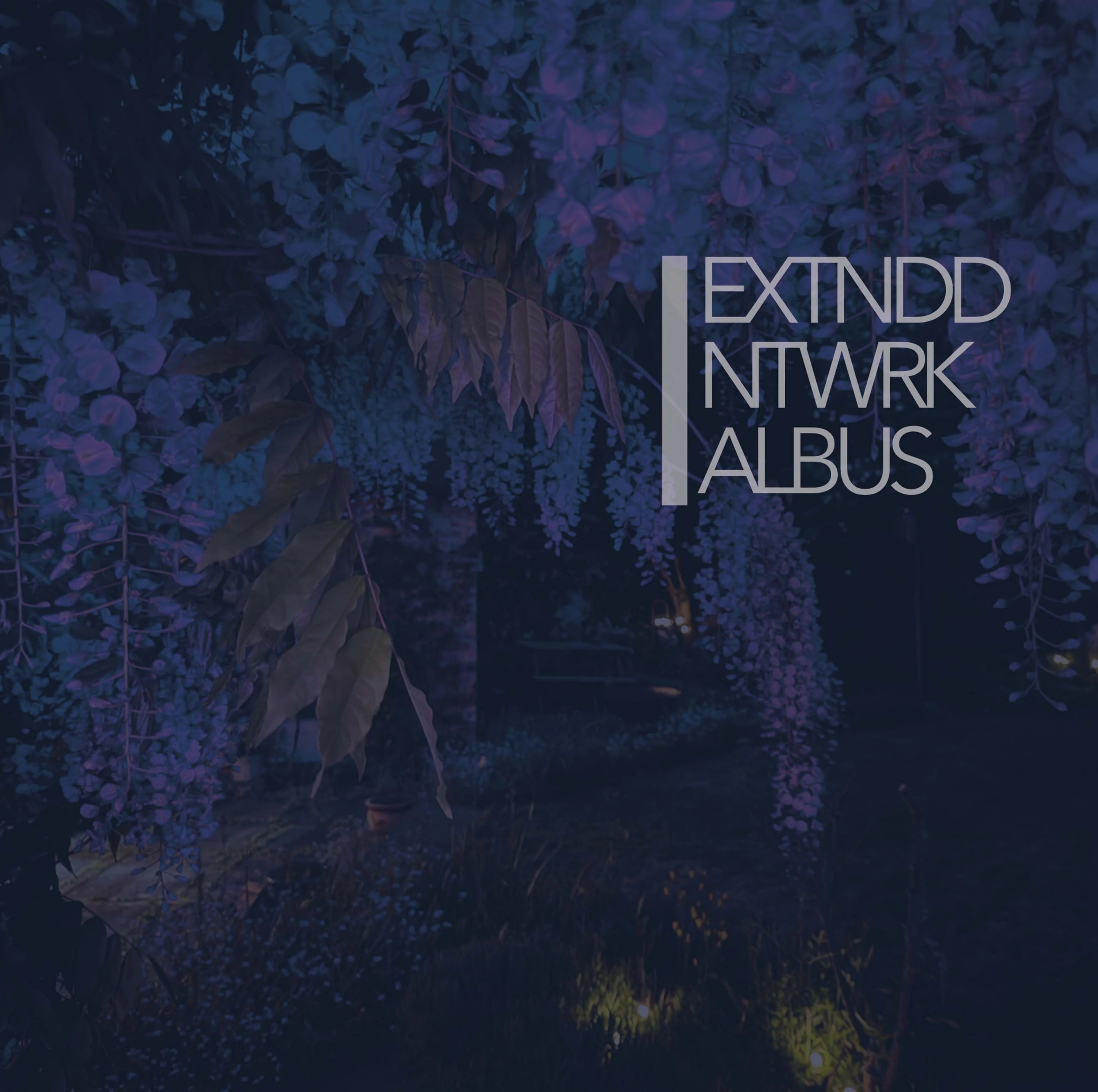 EXTNDDNTWRK 'Albus'