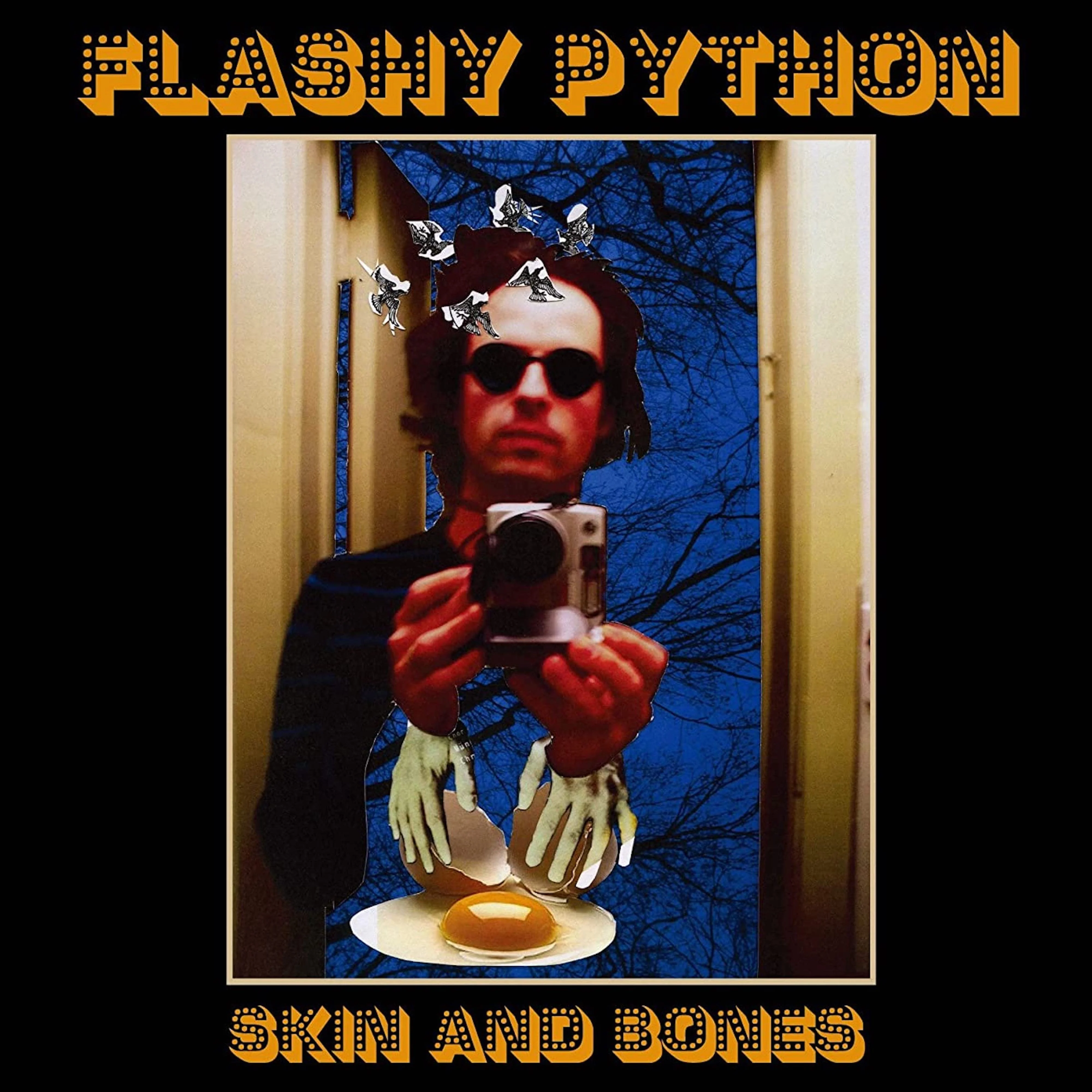 Flashy Python 'Skin and Bones'