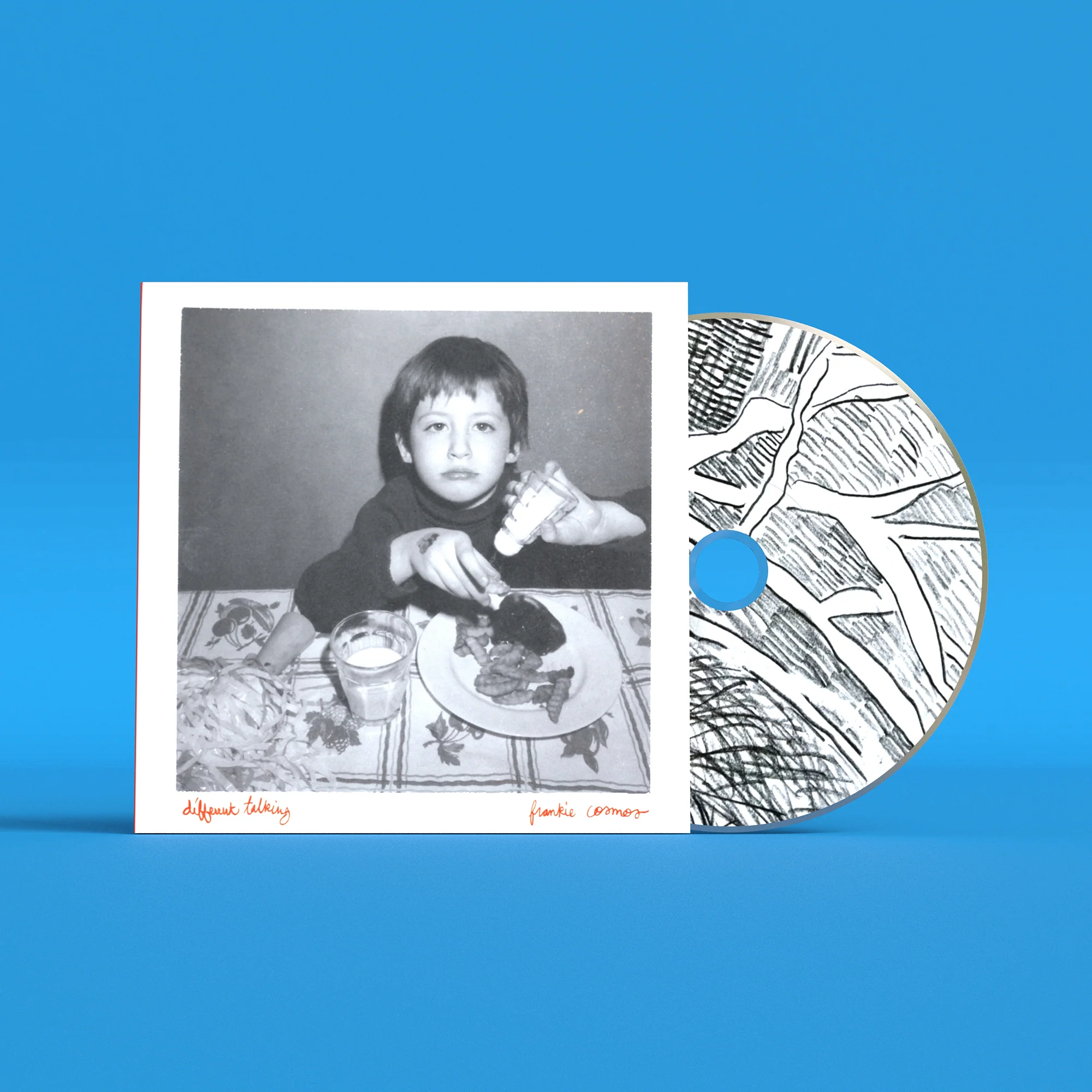 Frankie Cosmos 'Different Talking' - Image 3
