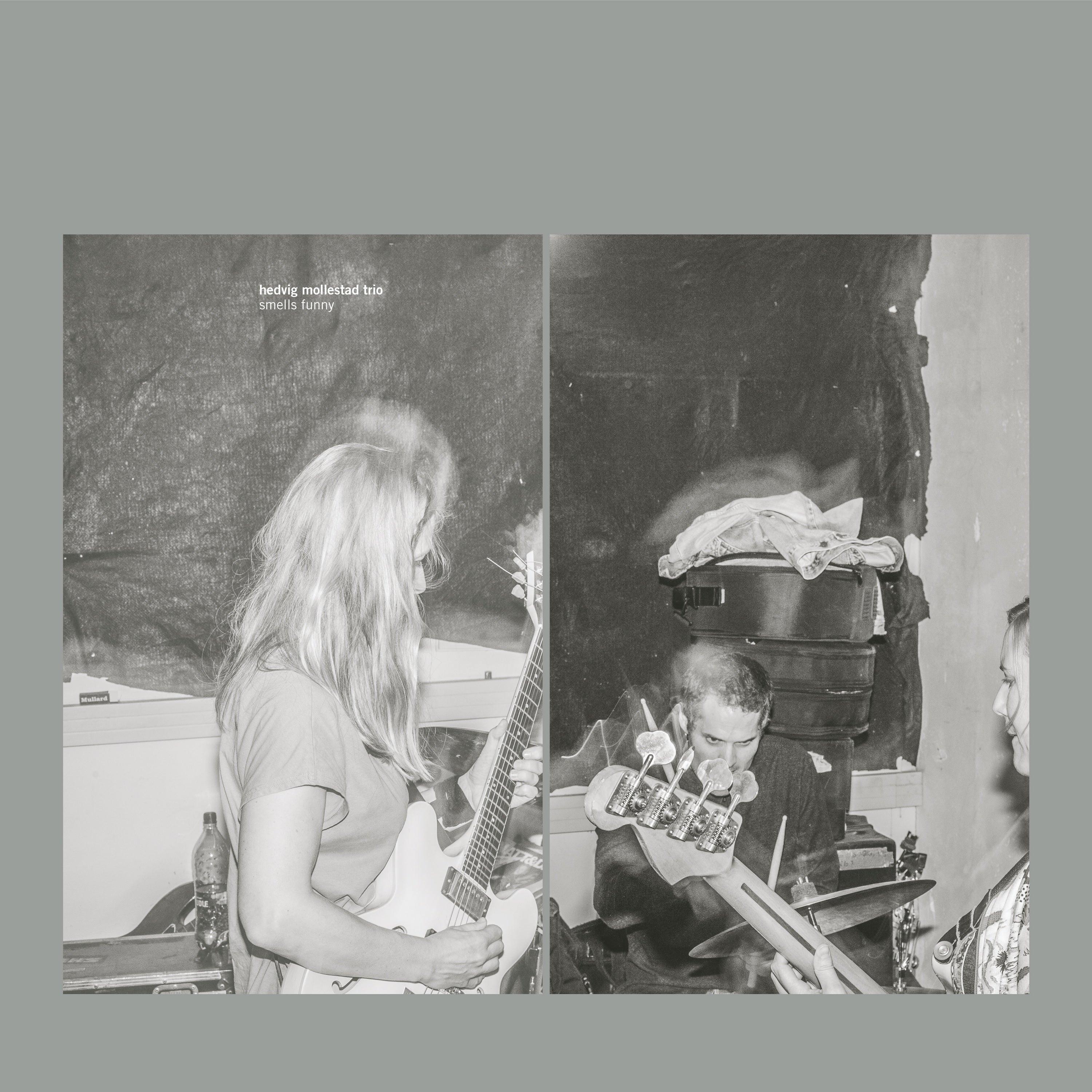 Hedvig Mollestad Trio 'Smells Funny'