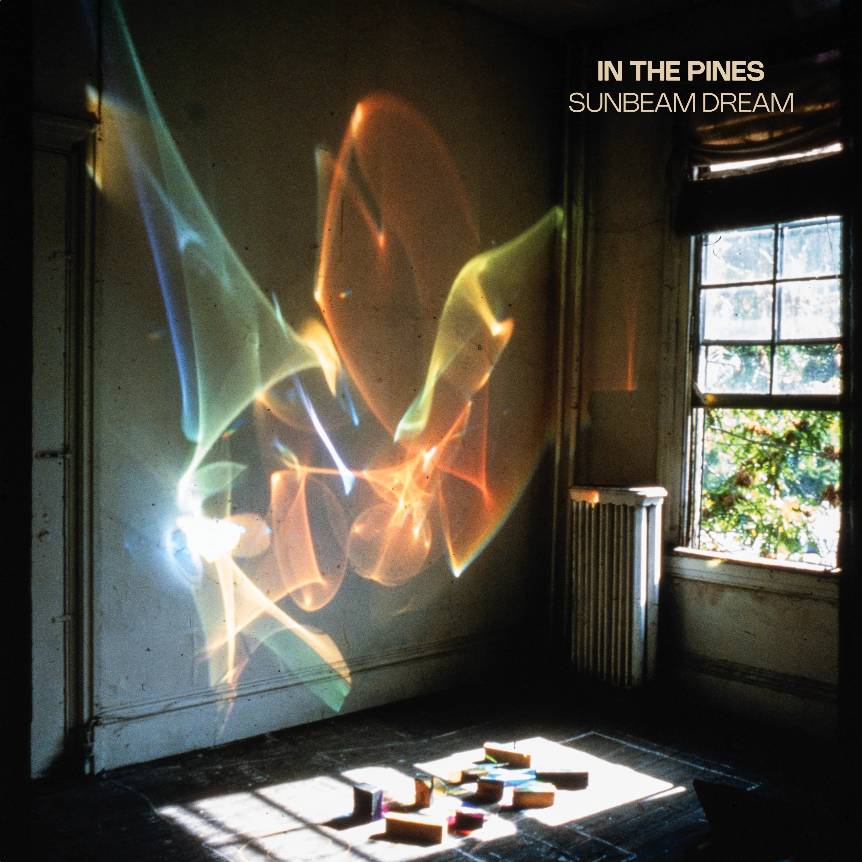 In The Pines 'Sunbeam Dream'