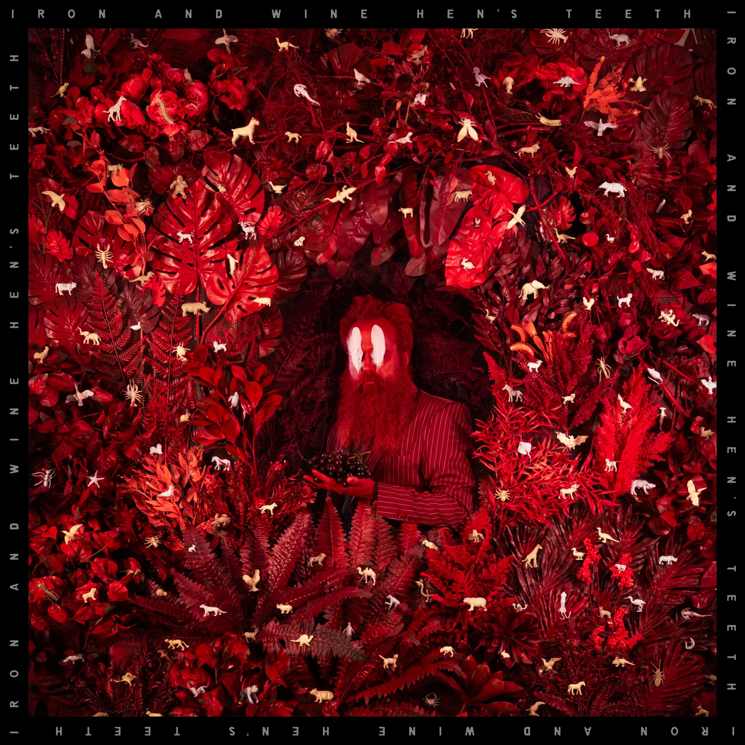 Iron & Wine 'Hen's Teeth'