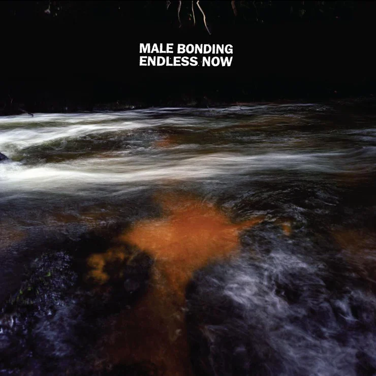 Male Bonding 'Endless Now'