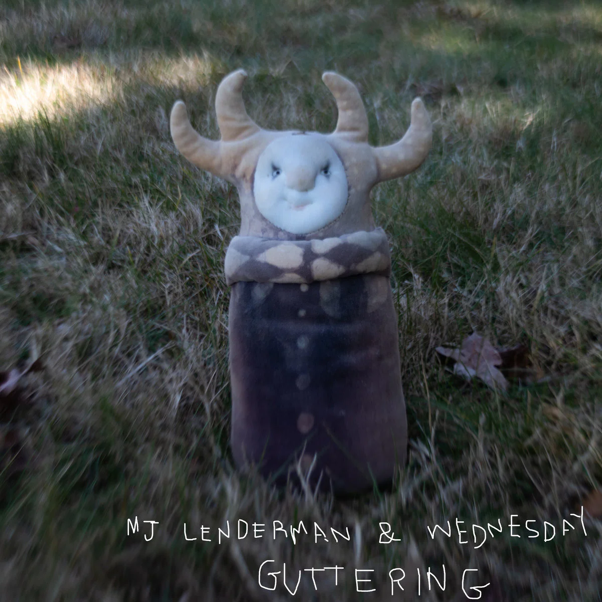 MJ Lenderman & Wednesday 'Guttering' (Slightly Damaged Sleeve)