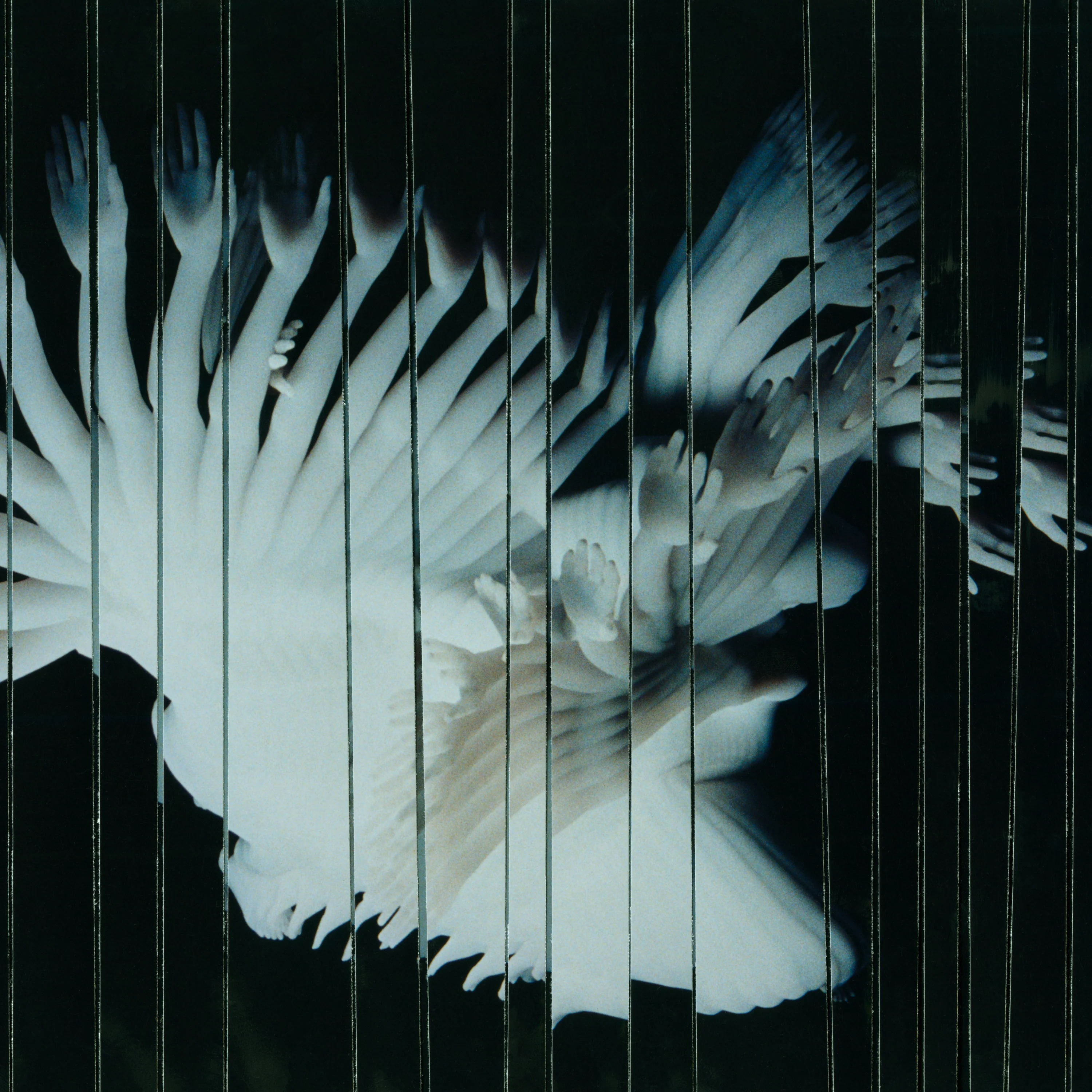 Scaler 'Endlessly'