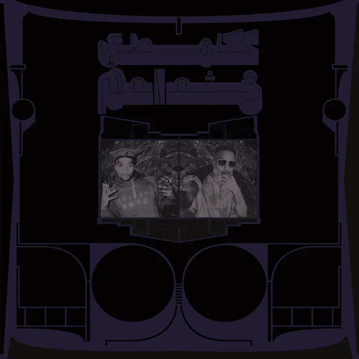 Shabazz Palaces 'Exotic Birds Of Prey'