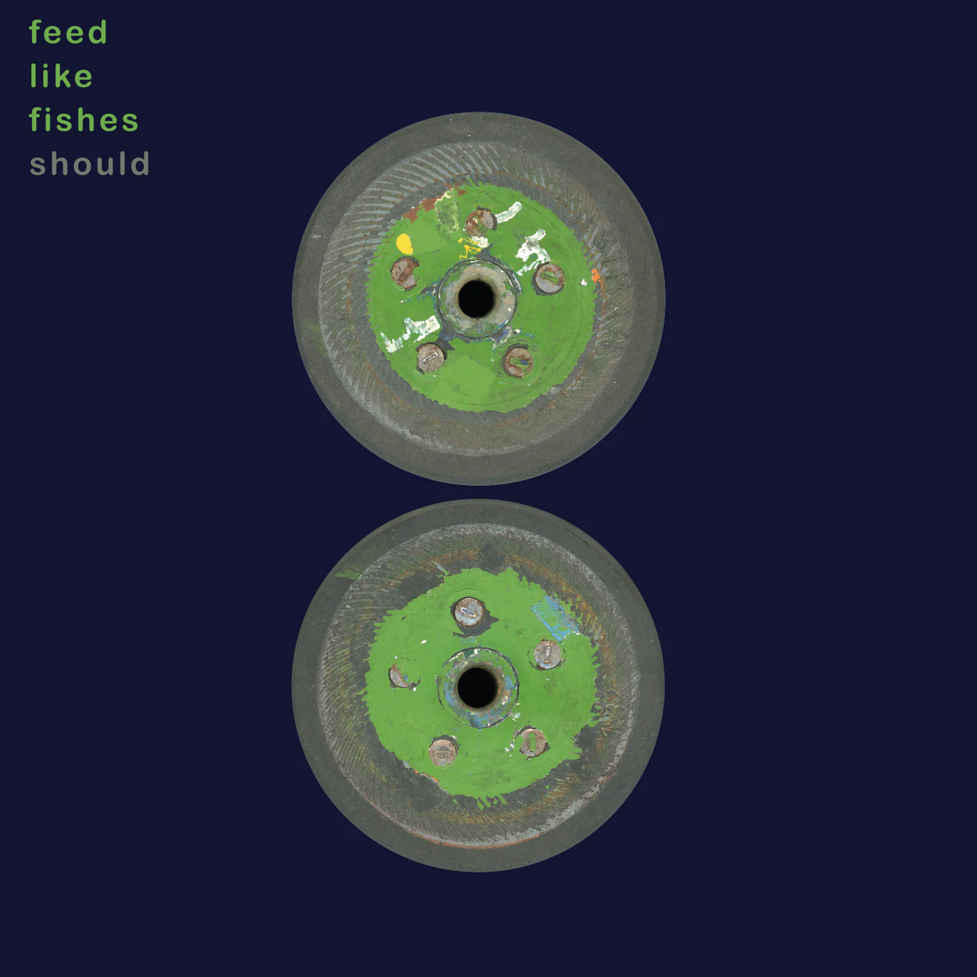 Should 'Feed Like Fishes'