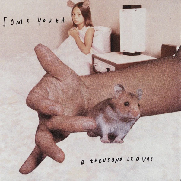 Sonic Youth 'A Thousand Leaves'