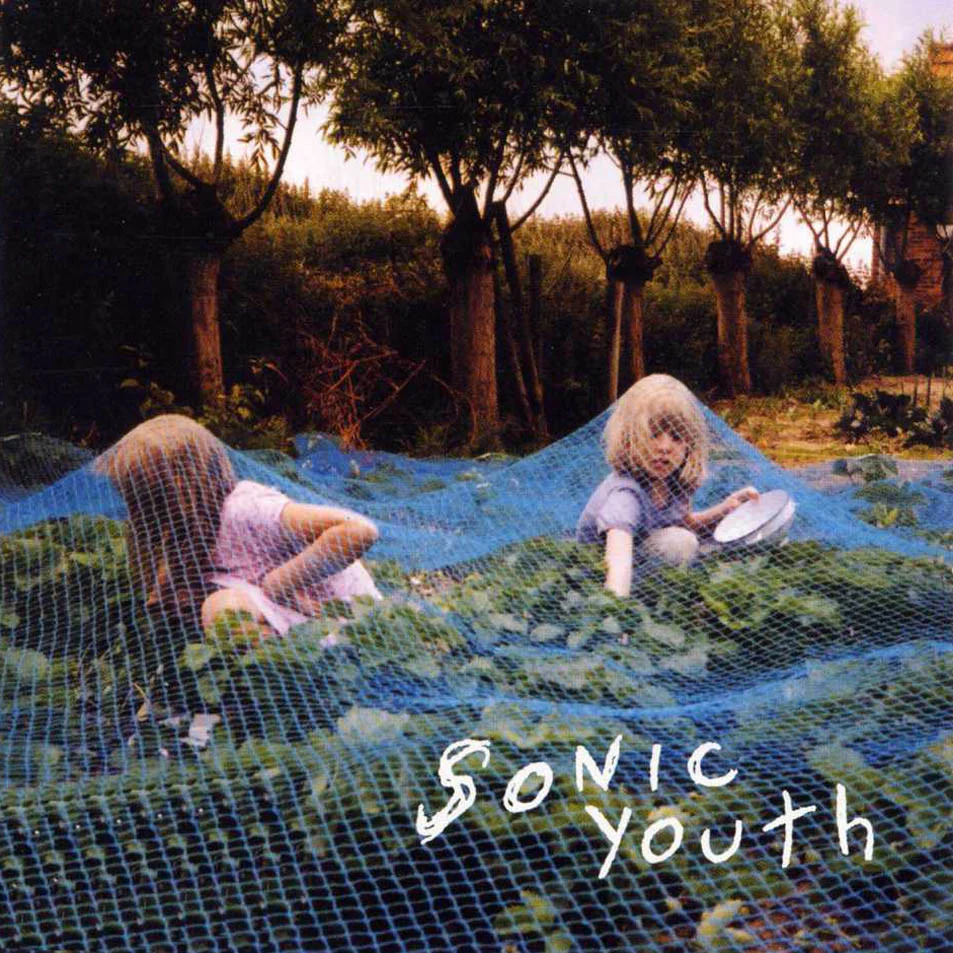 Sonic Youth 'Murray Street'