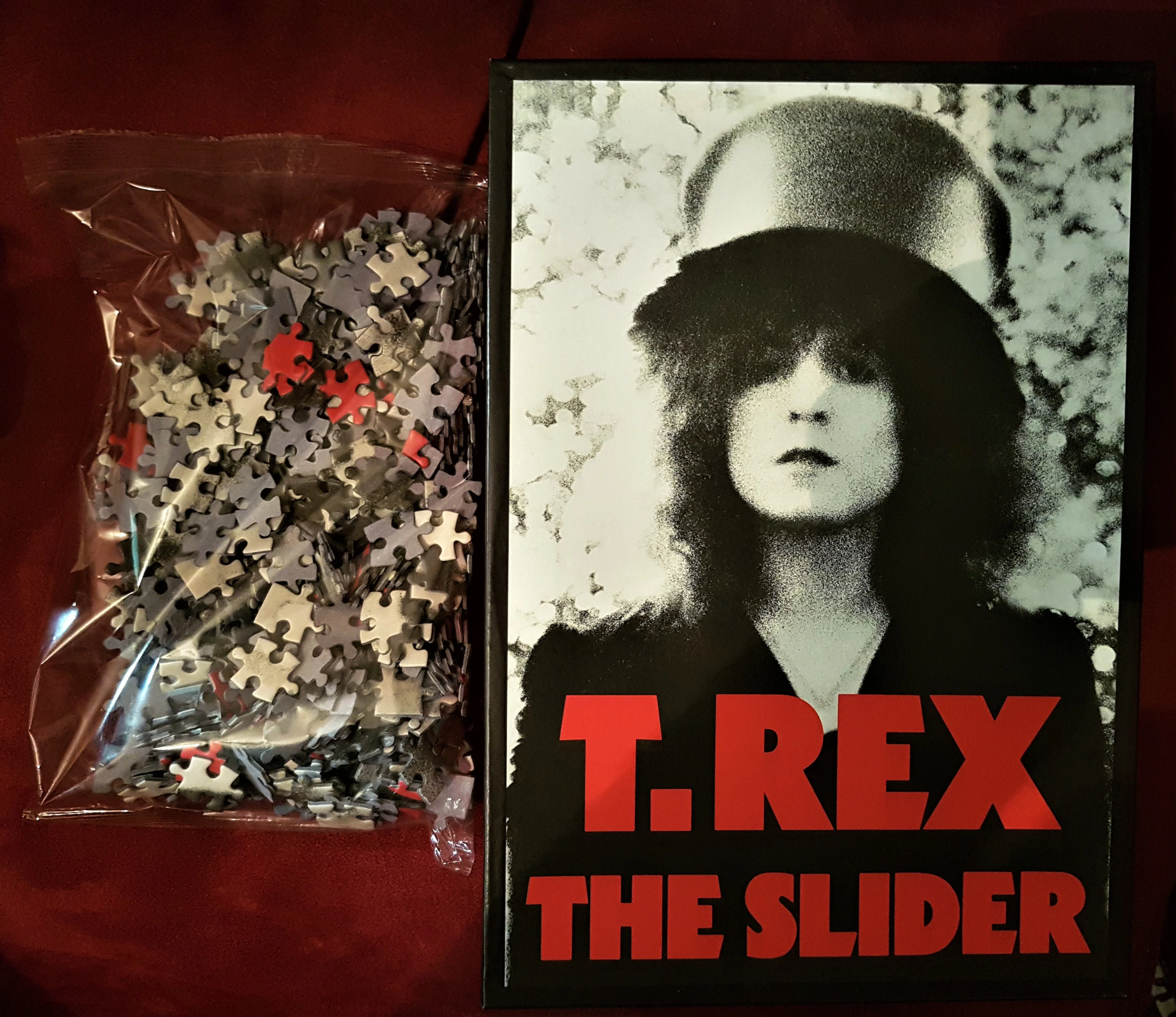 T Rex 'The Slider (Jigsaw Puzzle)' - Image 2