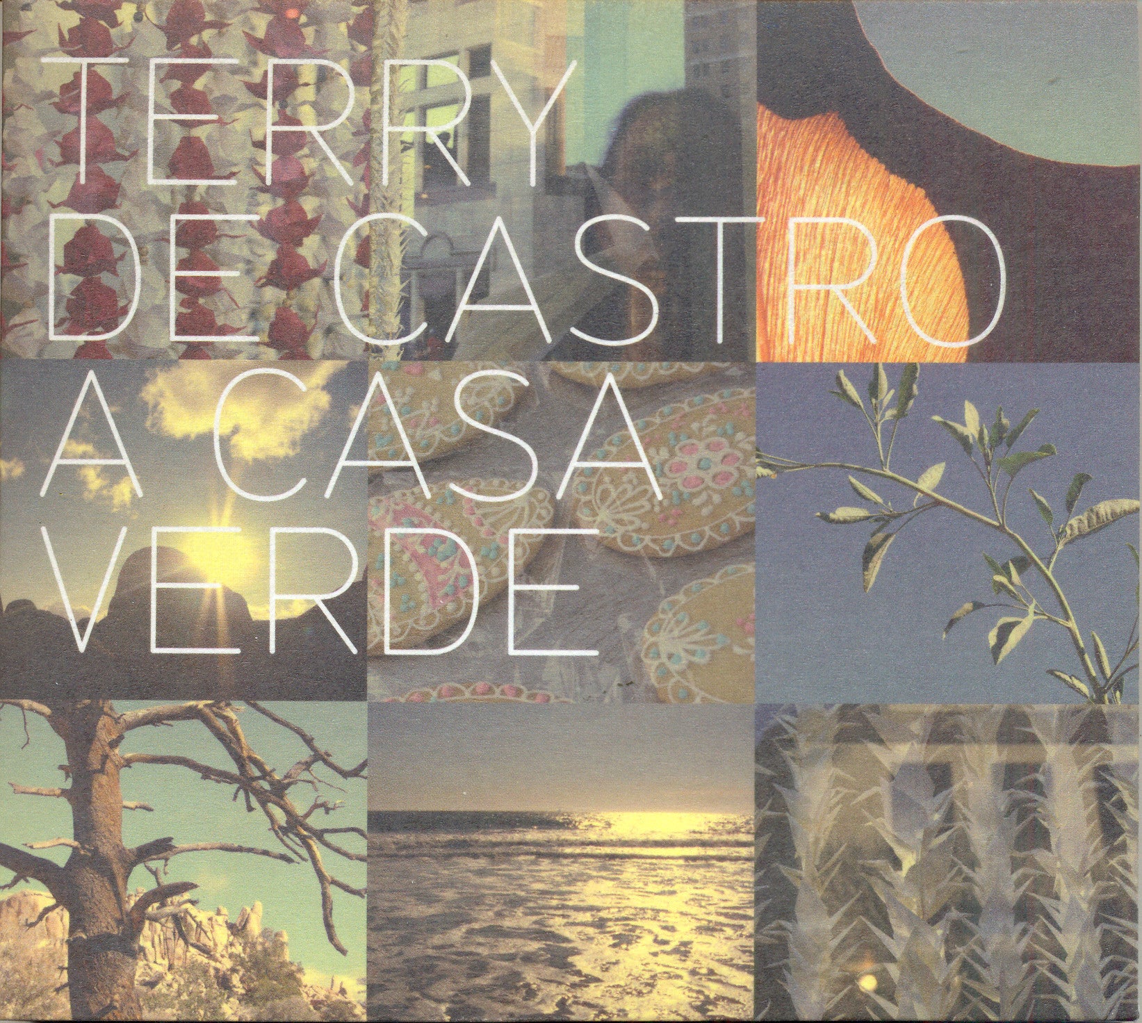Terry De Castro 'A Casa Verde'