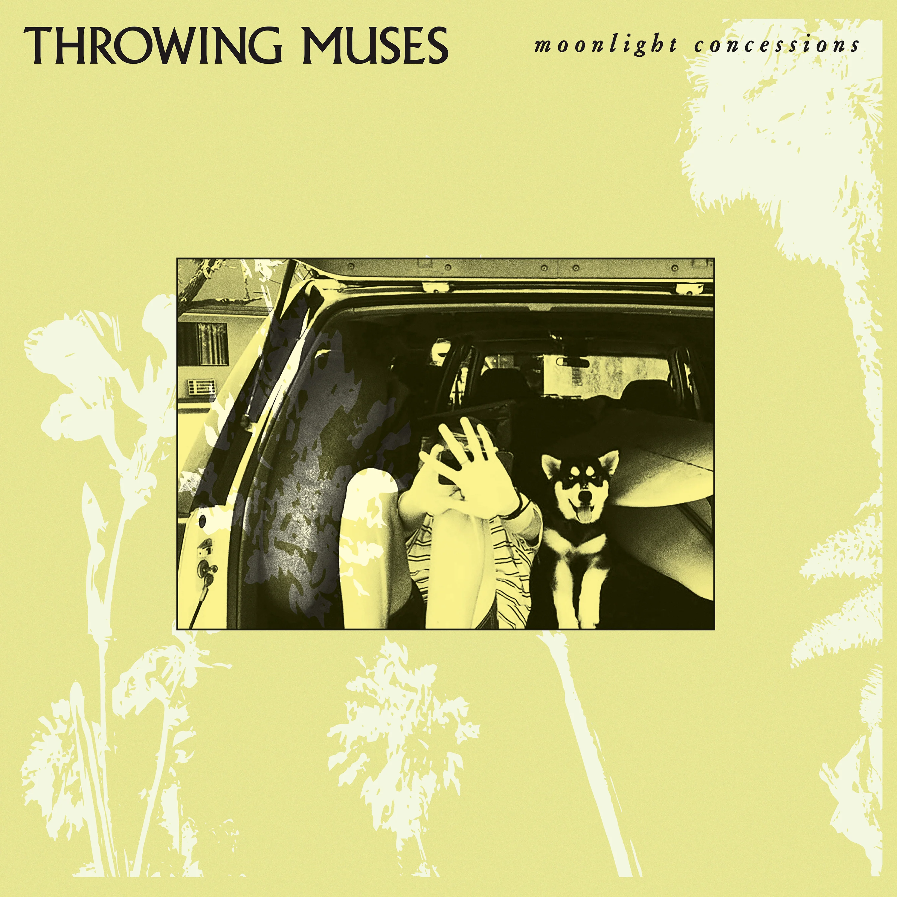 Throwing Muses 'Moonlight Concessions'