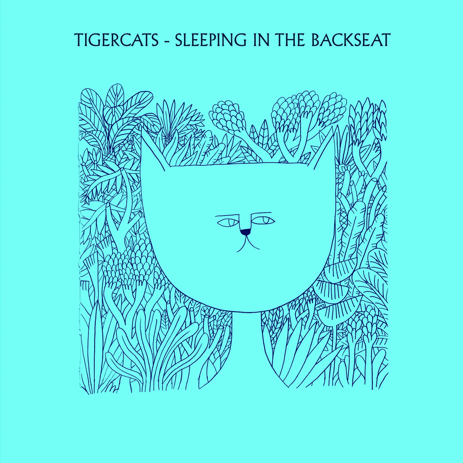 Tigercats 'Sleeping In The Backseat'