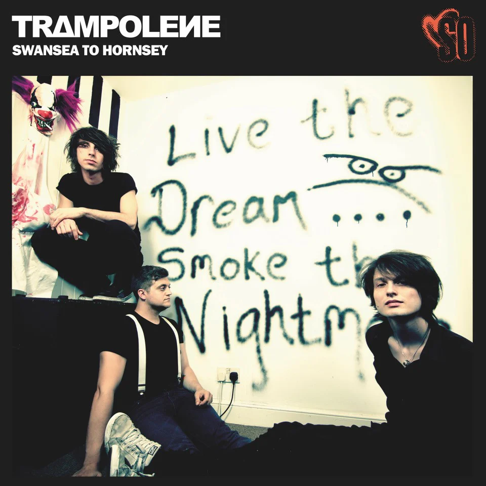 Trampolene 'Swansea To Hornsey' (Anniversary Edition) - Image 5