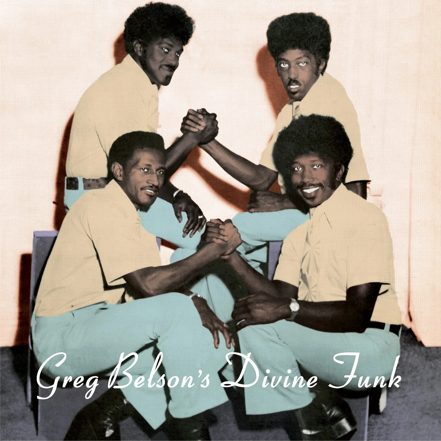 Various 'Greg Belson's Divine Funk'