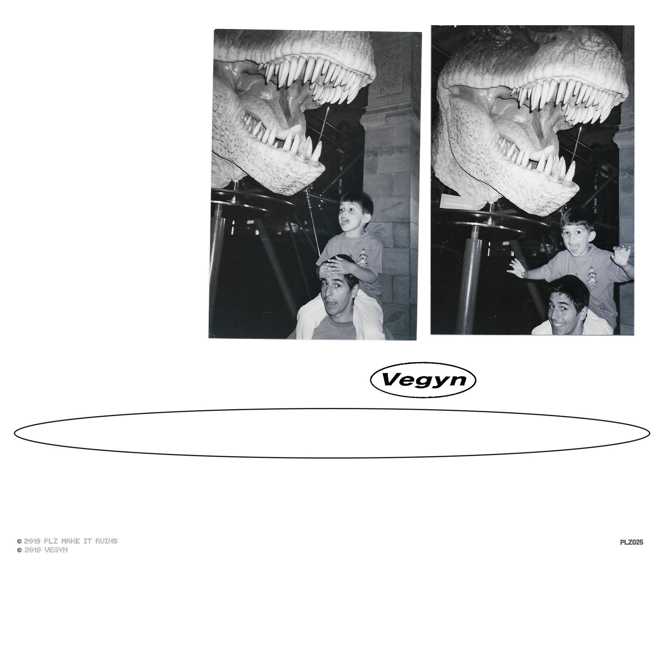 Vegyn 'Only Diamonds Cut Diamonds (Repress)'