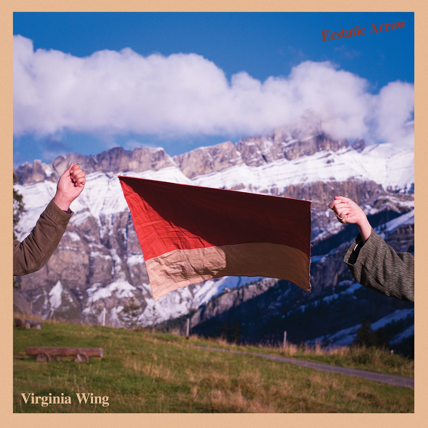 Virginia Wing 'Ecstatic Arrow'