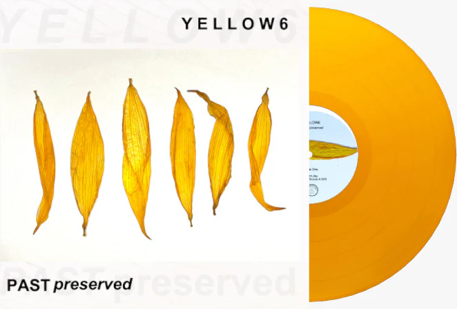 Yellow6 'Past Preserved' - Image 2